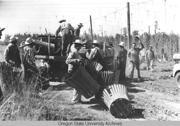 Mexican workers from the Bracero program on Horst ranch in Polk County, Oregon